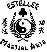 Esteller MMA photo